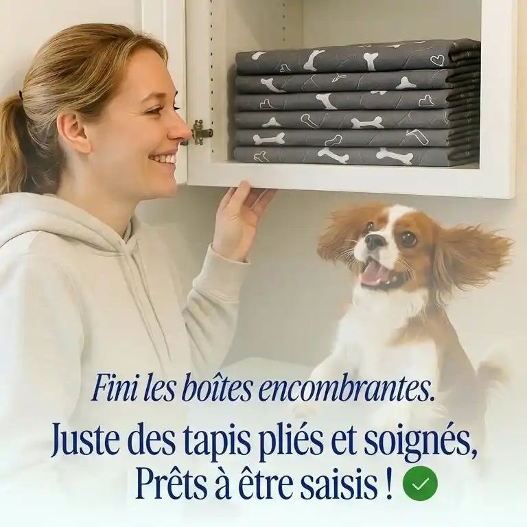 Ultra-Absorbant | Le Tapis de Propreté Calmyn