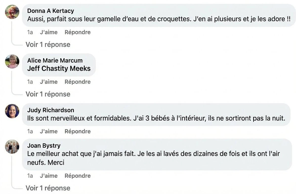 Review - Vue complète