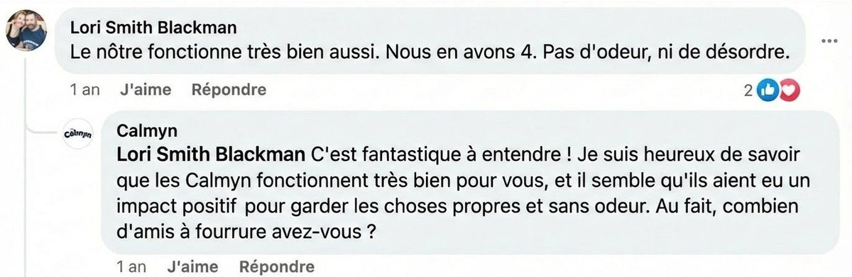 Review - Vue complète