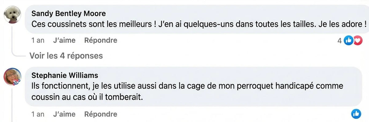 Review - Vue complète