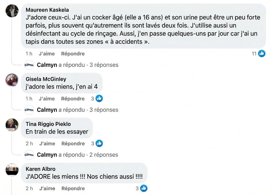 Review - Vue complète