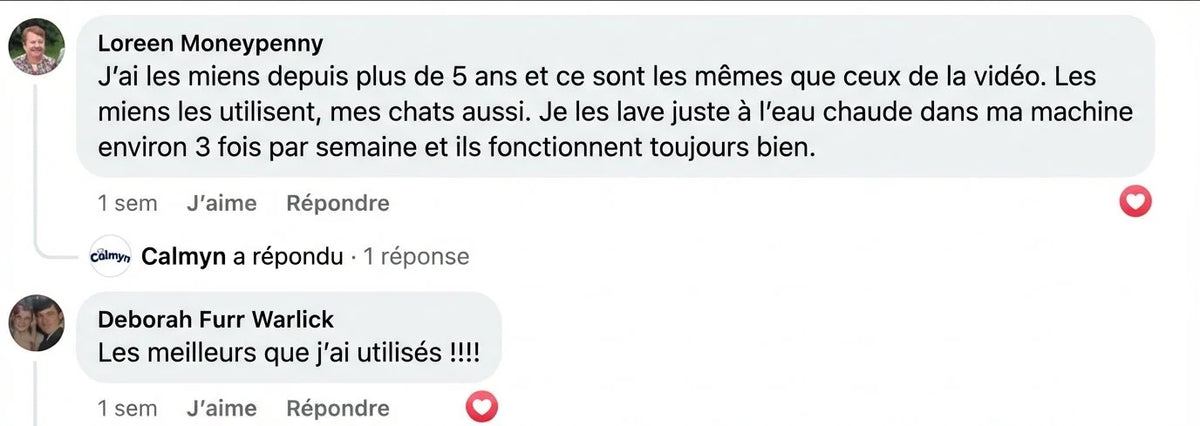 Review - Vue complète