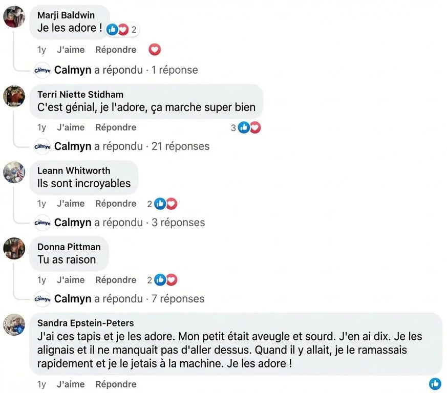 Review - Vue complète