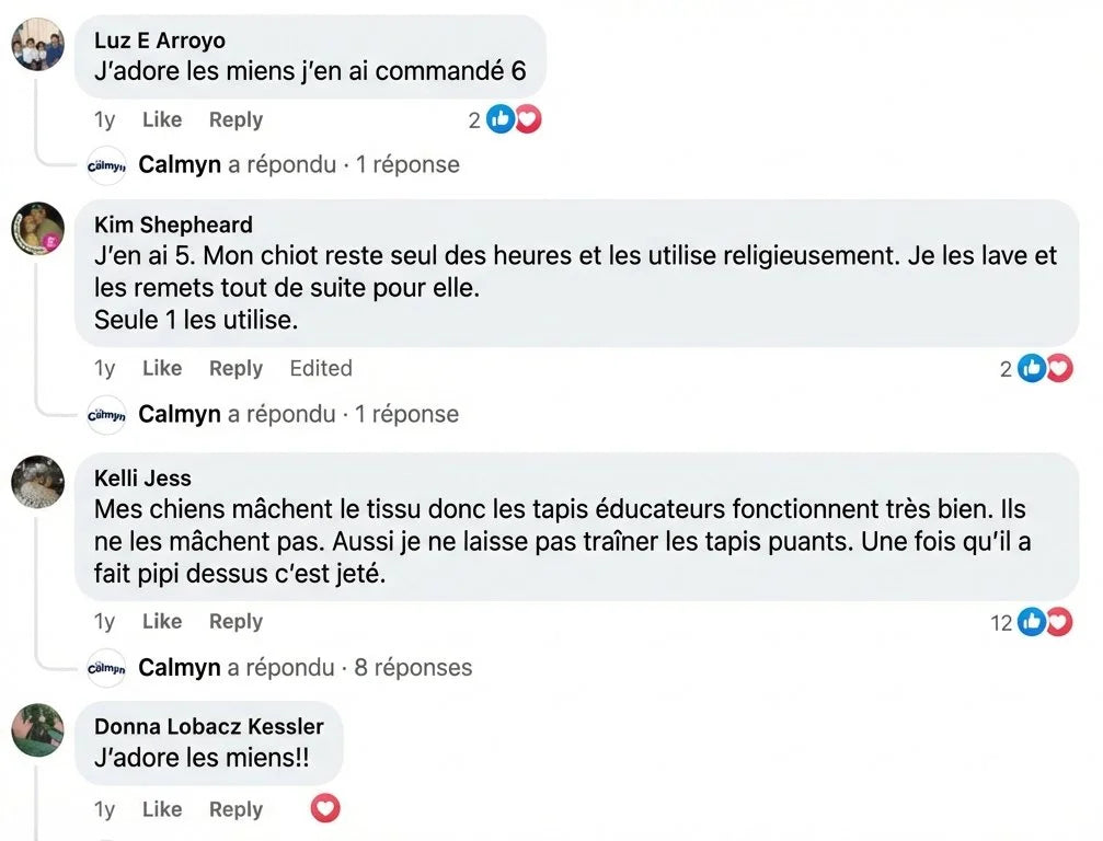 Review - Vue complète