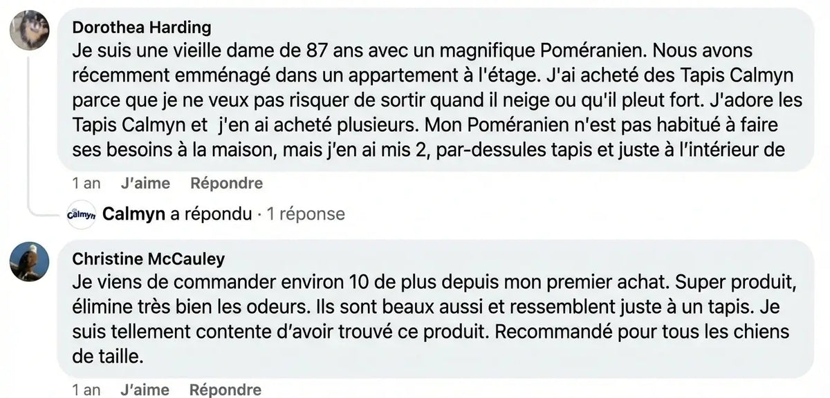 Review - Vue complète