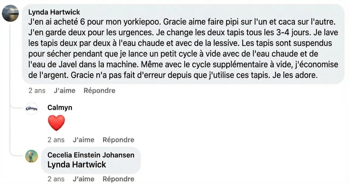 Review - Vue complète