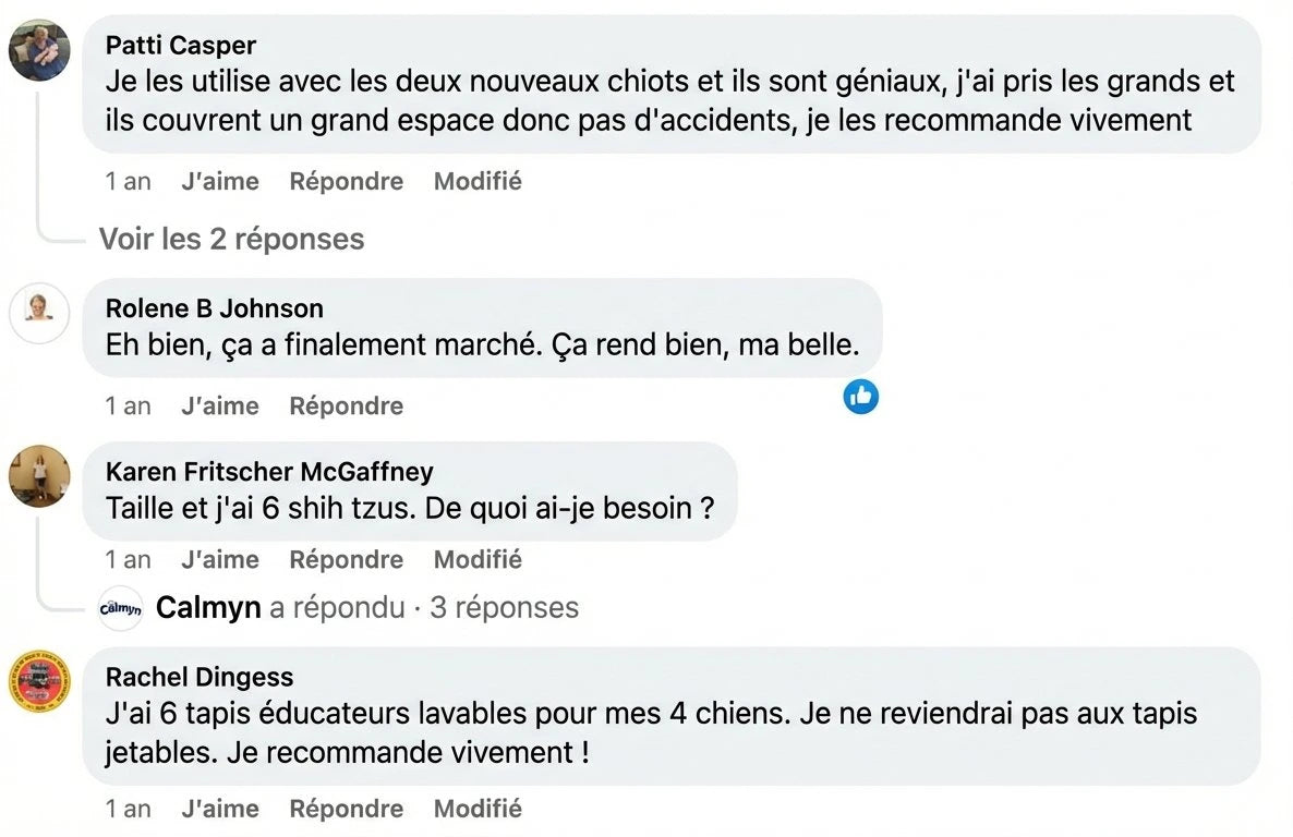 Review - Vue complète