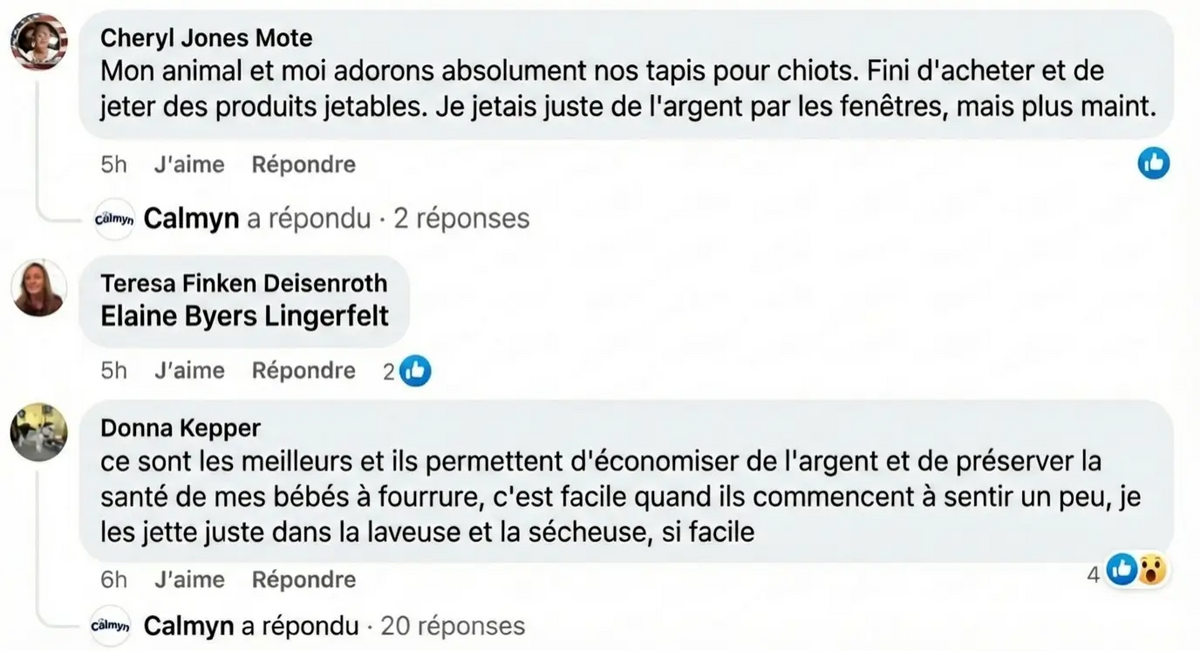 Review - Vue complète