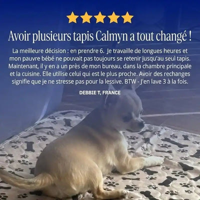 Ultra-Absorbant | Le Tapis de Propreté Calmyn