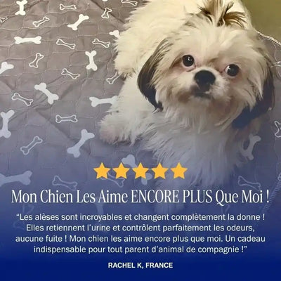 Ultra-Absorbant | Le Tapis de Propreté Calmyn