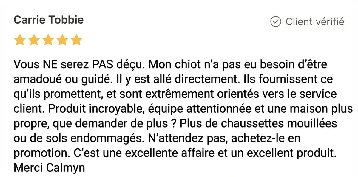 Review - Vue complète