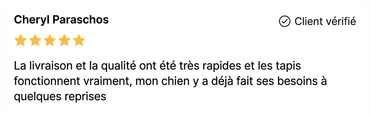 Review - Vue complète