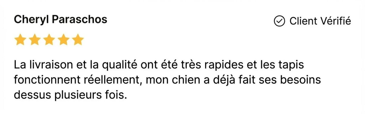 Review - Vue complète