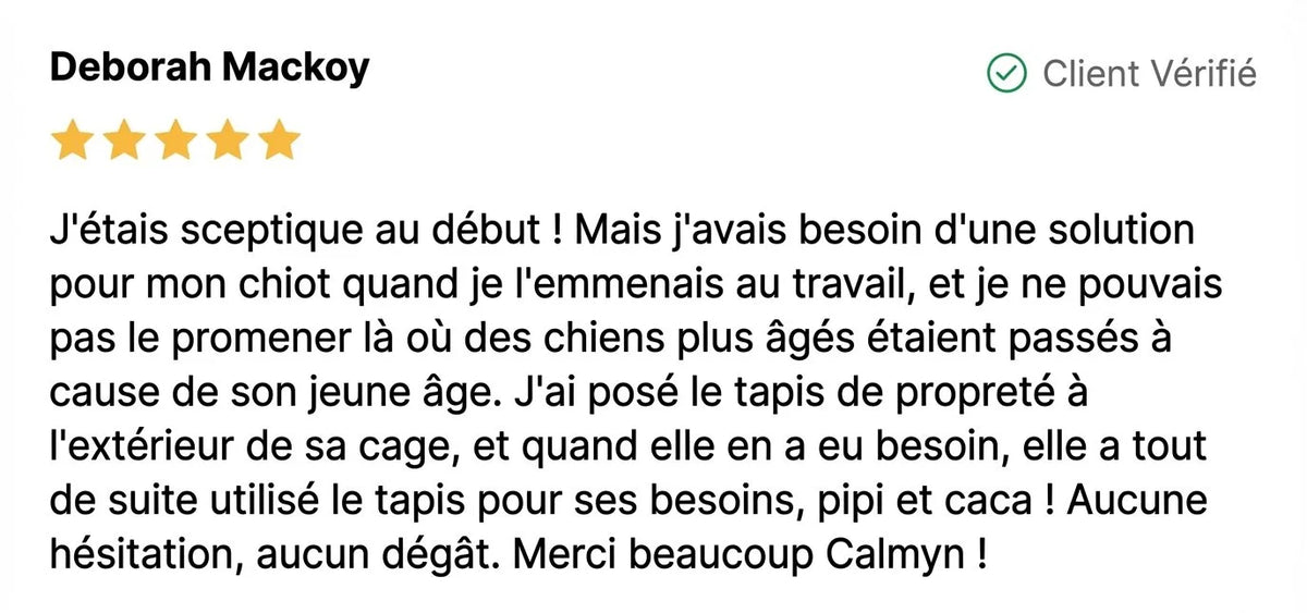 Review - Vue complète