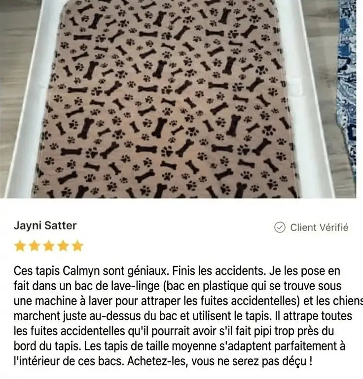 Review - Vue complète