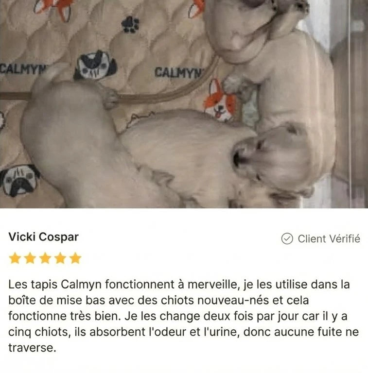 Review - Vue complète