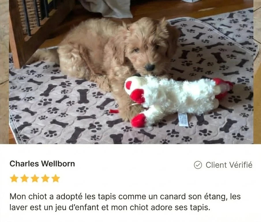 Review - Vue complète