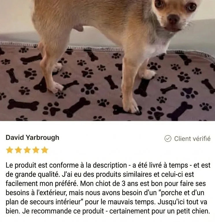 Review - Vue complète