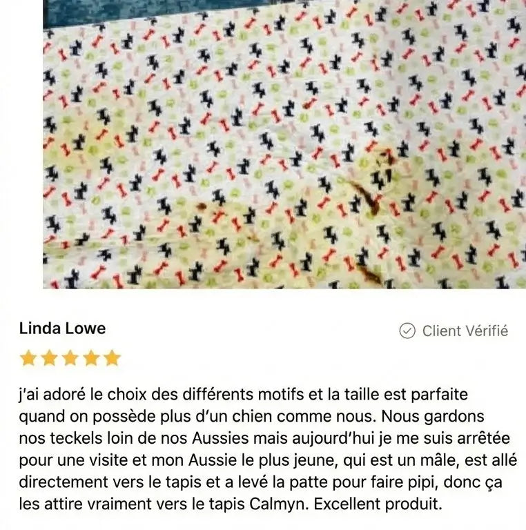 Review - Vue complète