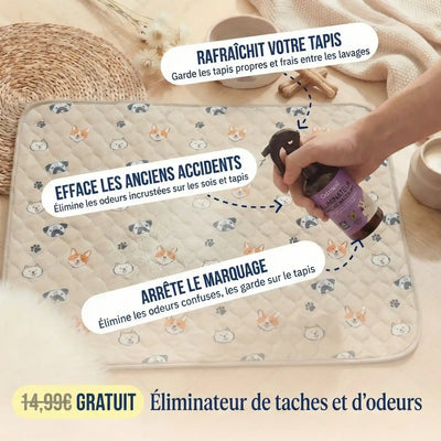 Ultra-Absorbant | Le Tapis de Propreté Calmyn