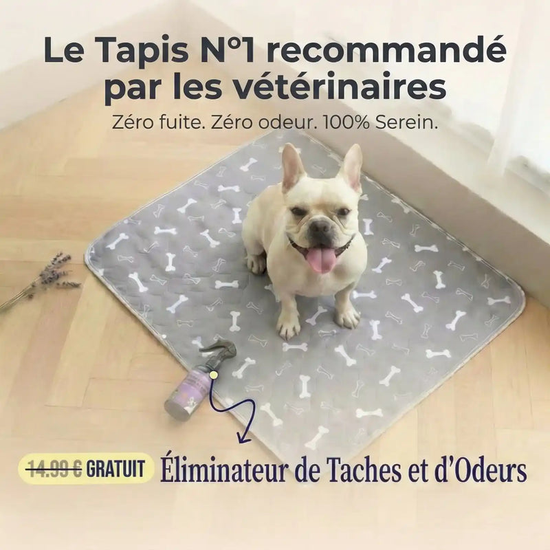 Ultra-Absorbant | Le Tapis de Propreté Calmyn