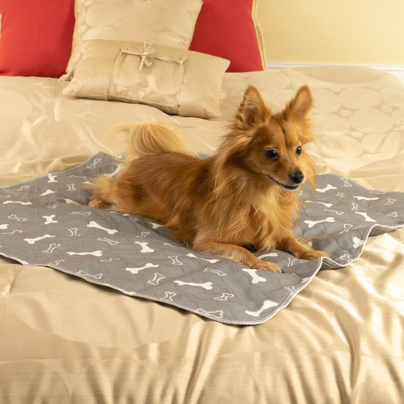 Le seul tapis qui attire naturellement les chiens